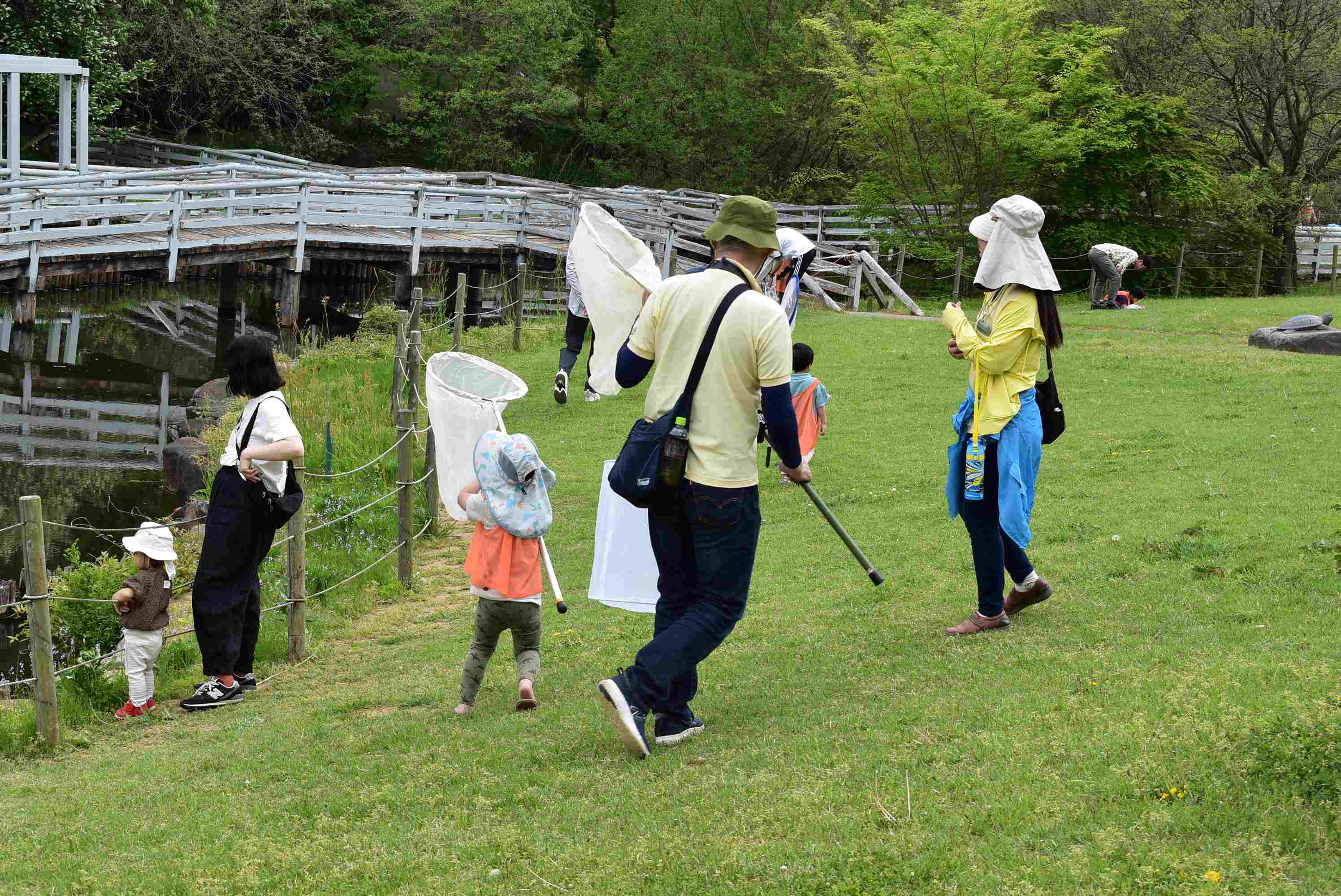 【先着】子ども自然教室「博物館で季節の昆虫を観察しよう」