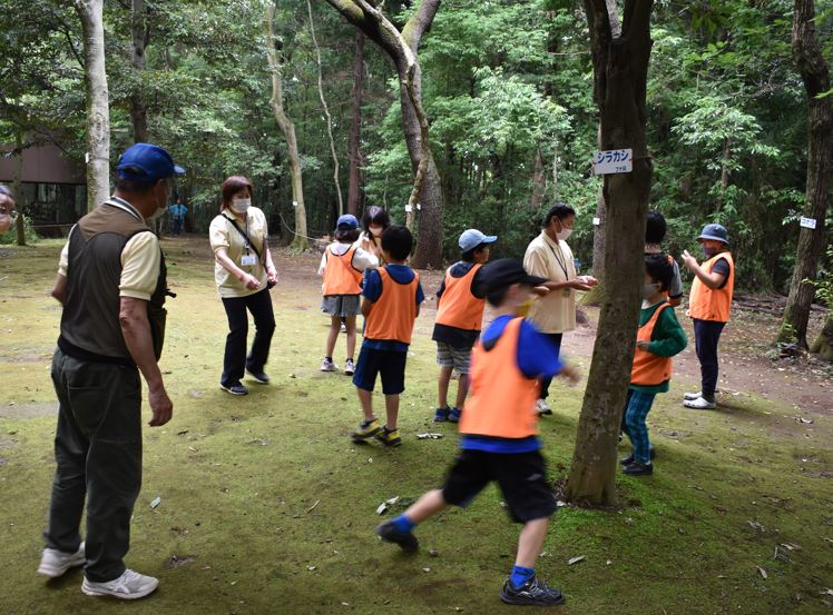 【先着】子ども自然教室「自然とのふれあい」