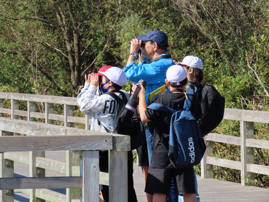 【先着】子ども自然教室「博物館で冬の野鳥を探そう」