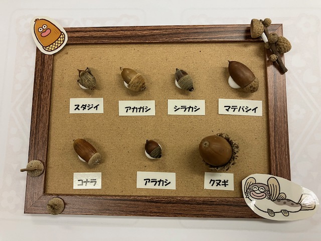 【先着】12/21AM　どんぐりブックをつくろう　