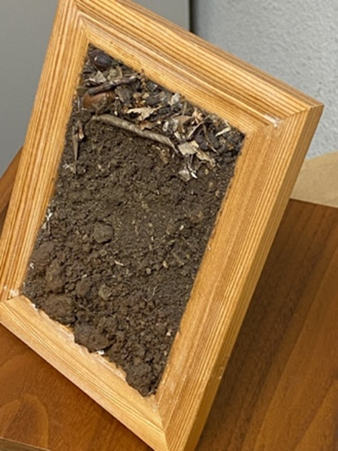 【先着】子ども自然教室「土壌のミニモノリスを作ろう！！」