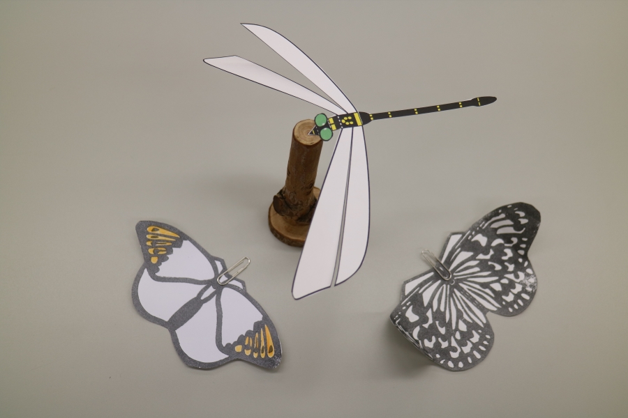 【先着】4/19AM　バランスとんぼ・ひらひらチョウをつくろう