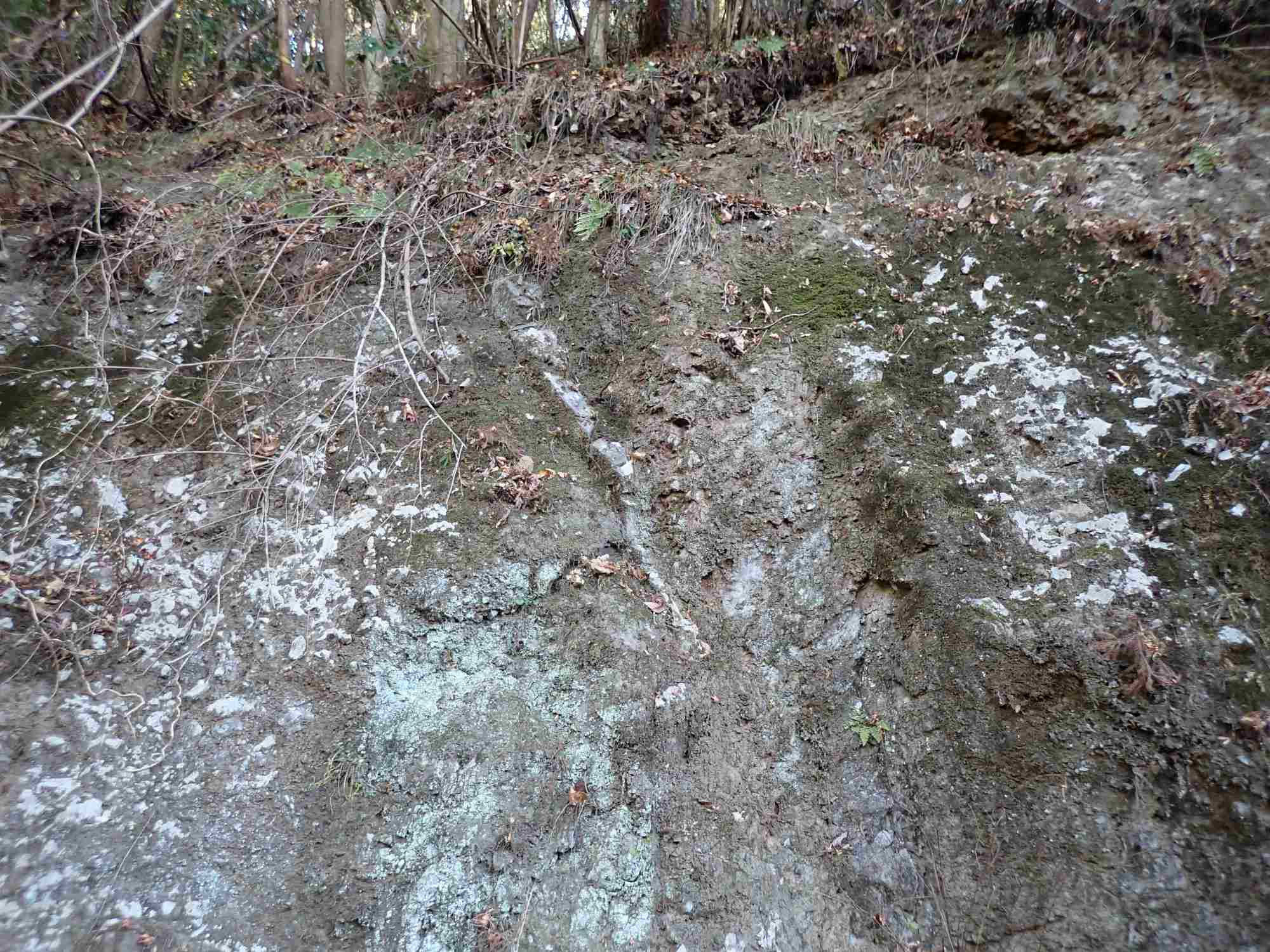【抽選】海底火山がつくった岩石やメノウを探そう