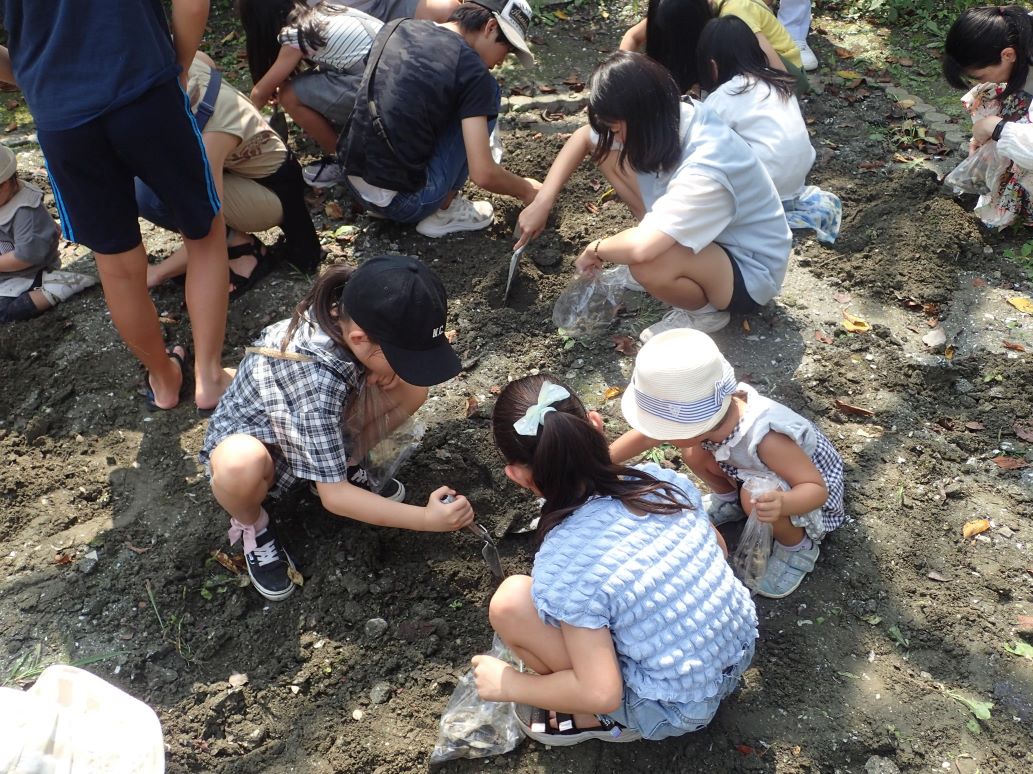 【先着】5/17AM　貝化石を見つけよう