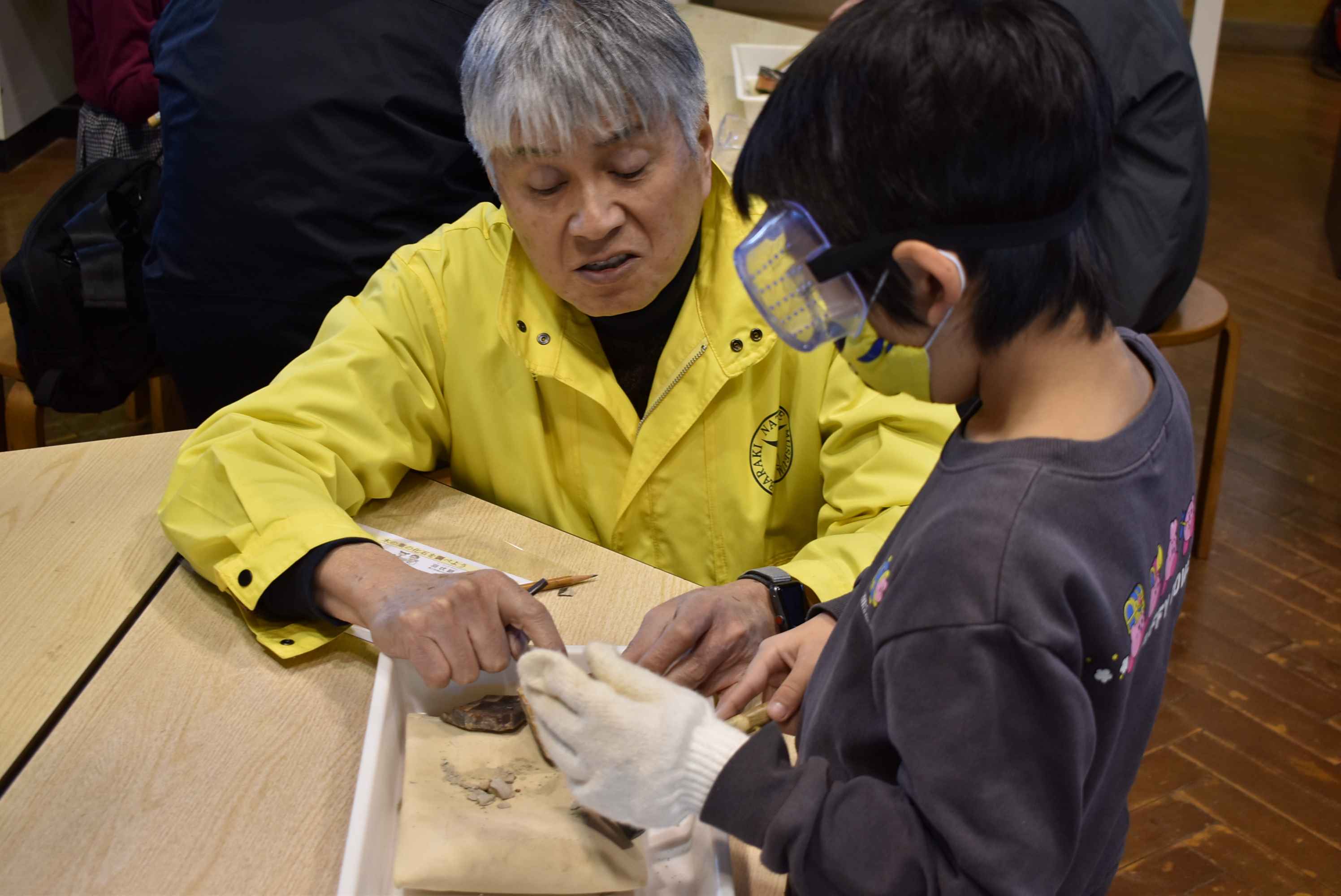 【先着】7/26AM　木の葉の化石を見つけよう