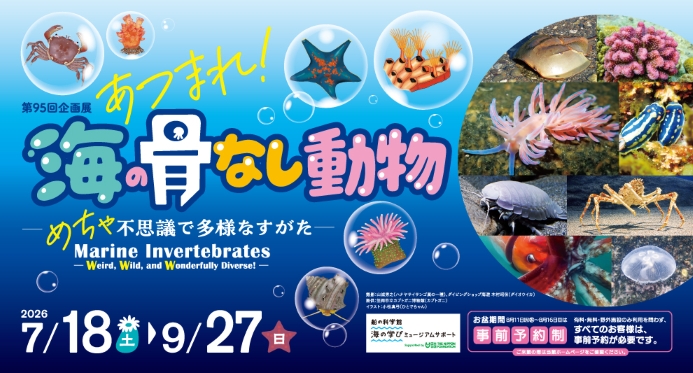 【先着】【企画展イベント】海の骨なし動物の不思議な世界
