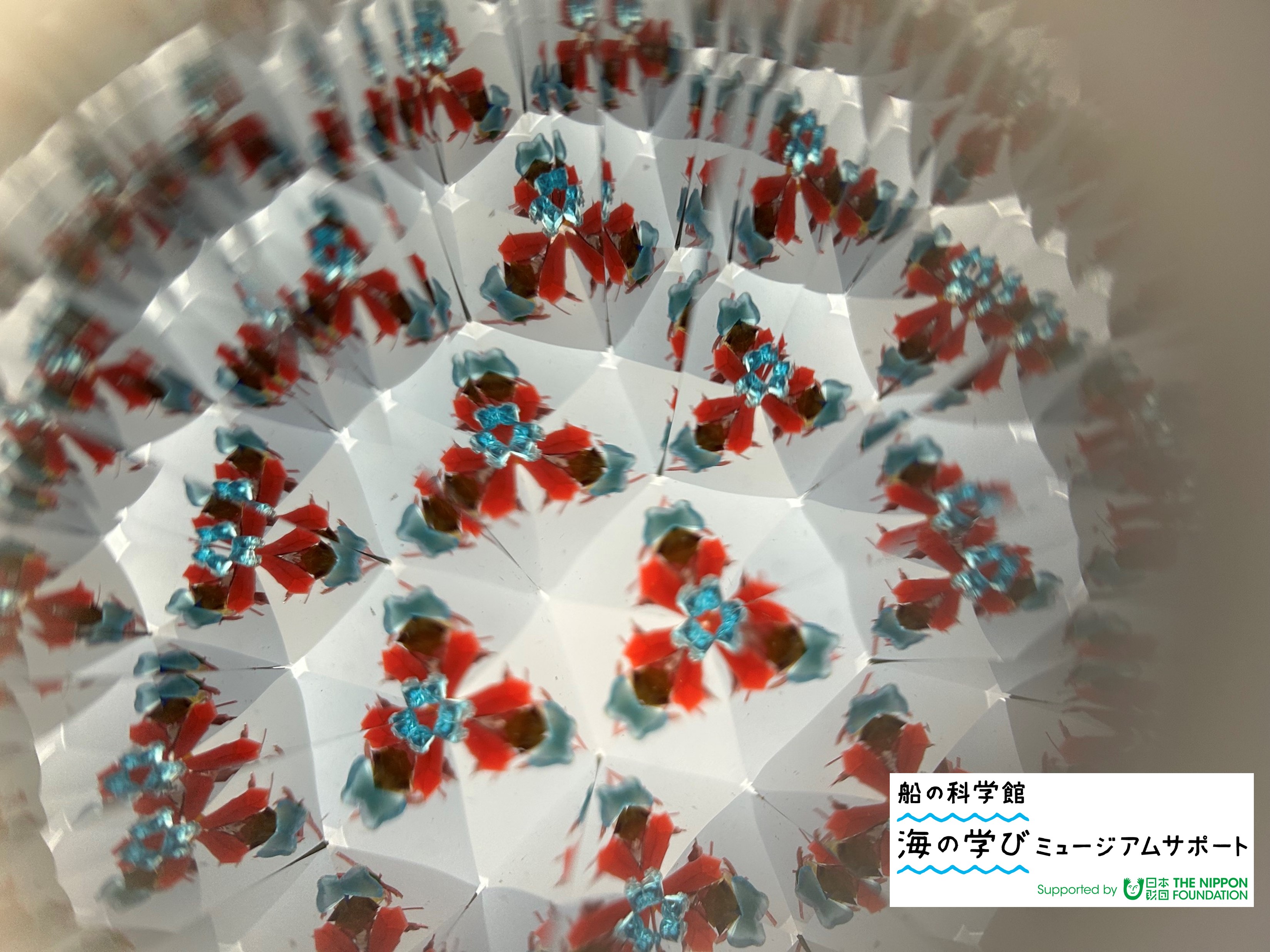 【先着】子ども自然教室「海の万華鏡をつくろう」