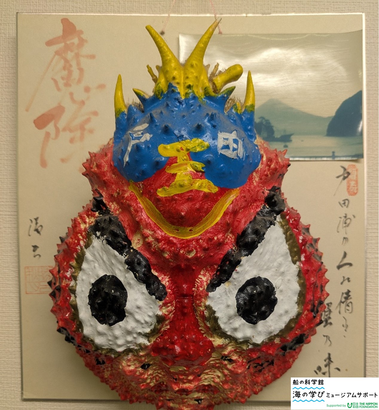 【先着】9/6AM　海の骨なし動物をつくろう！
